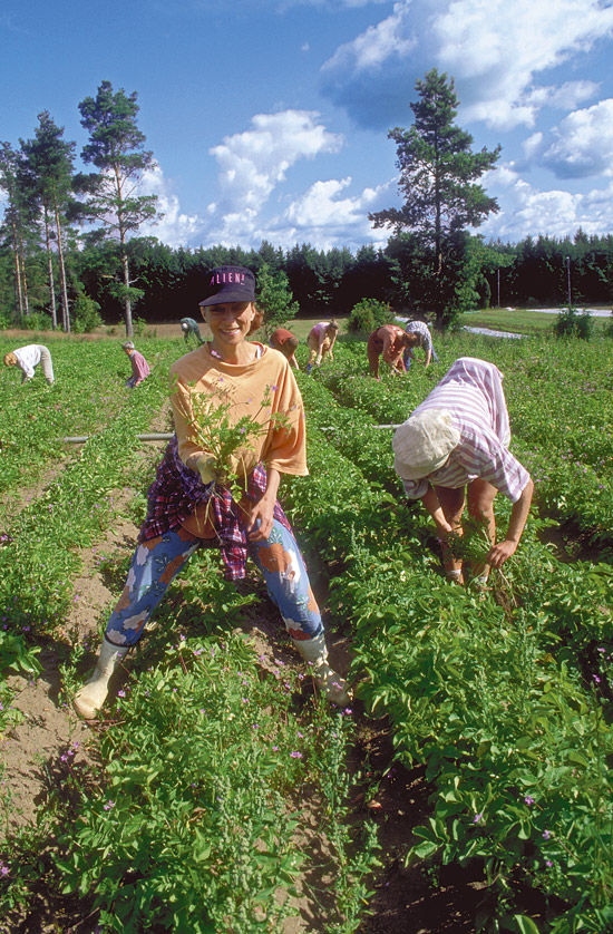 Kar ma Yoga in fields